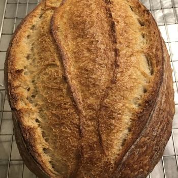 Babel Sourdough loaves second overview