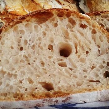 Basic Levain All about Flour first overview