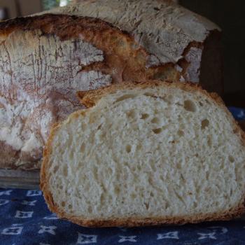 Basic Levain All about Flour second overview