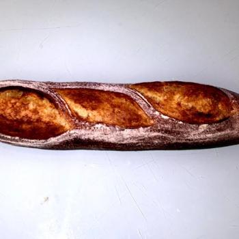 Campania Baguettes first overview