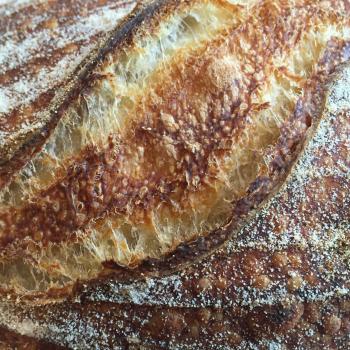 Cowry White Bread, Ciabatta, Durum wheat bread, pancakes, Naan second overview
