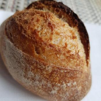 Mang Collar's Sourdough Classic Sour Dough rolls second overview