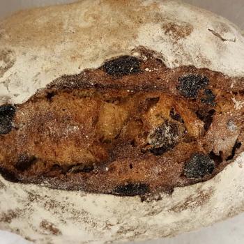 Mang Collar's Sourdough Speija Bread (Fruit Bread) first overview