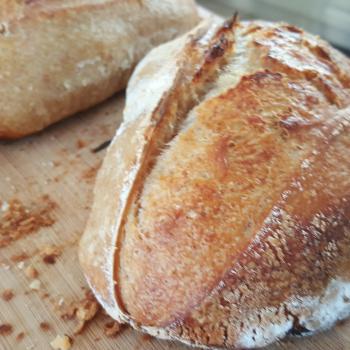 Masita Bread first overview