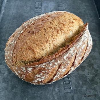 Nr 1 Sourdough bread with kamut first overview