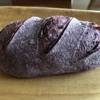 Nuna Purple corn bread first overview