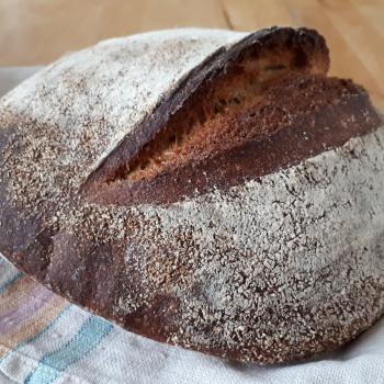 Orvokki Wheat & rye bread first overview
