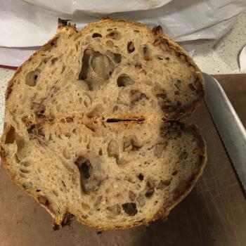 Sophia walnut spelt t80 sourdough loaf first overview