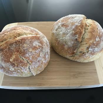 Sozzy (S for Sourdough and Ozzy for Aussie)  first overview