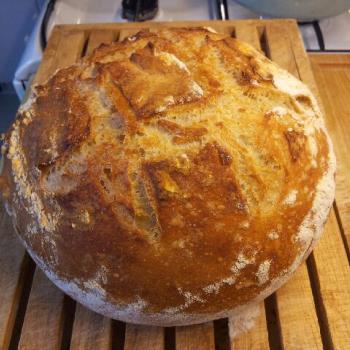 The Creature (Mark II) Worlds easiest and most delicious dutch oven bread second overview