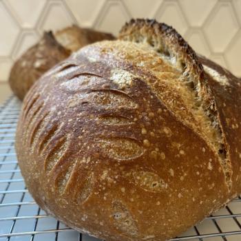 The Fabulous Karen   Sourdough bread first overview