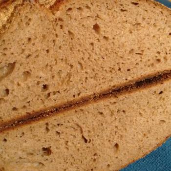 Tony Whole wheat and Rye  second overview